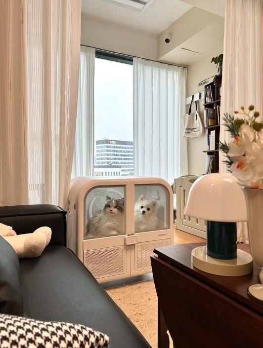 拎包入住一般包括什么?室内装饰也包括在内!